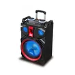 Good quality bass trolley outdoor speaker