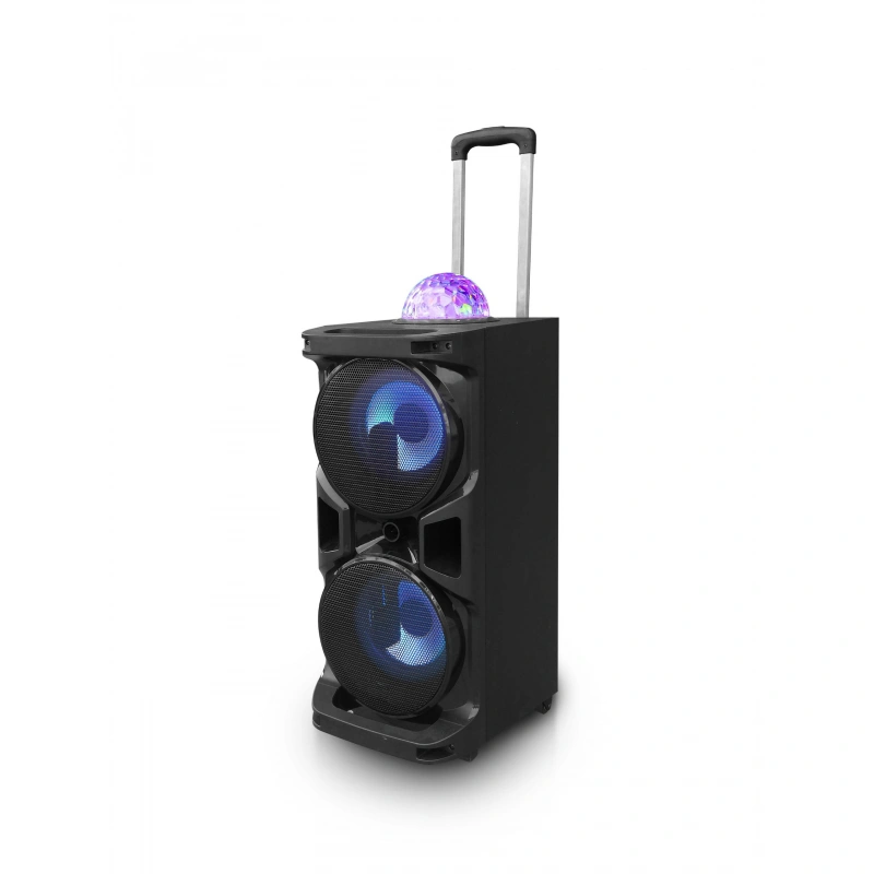 8''*2 inches big power dj sound box bass speaker