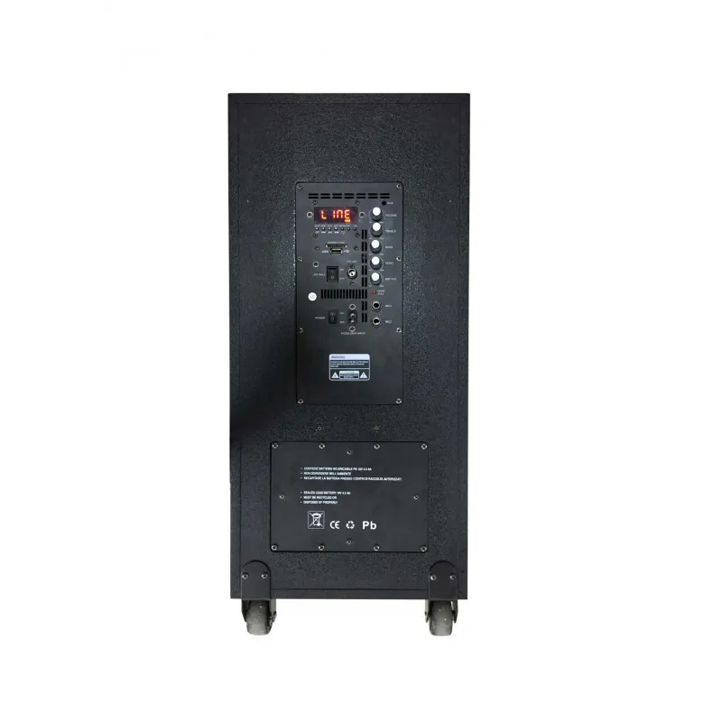 8''*2 inches big power dj sound box bass speaker