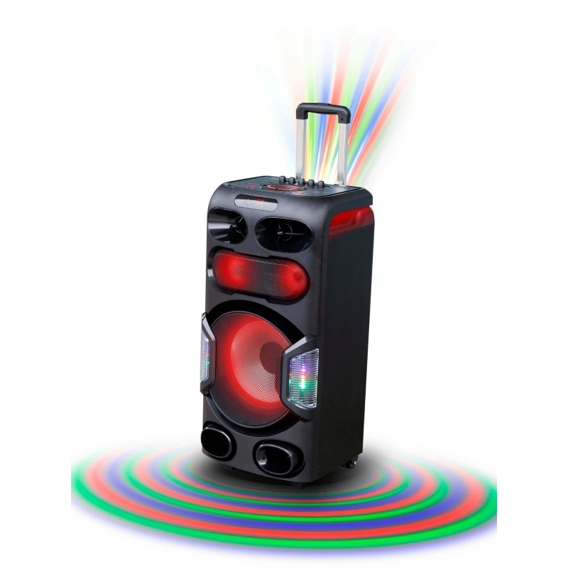 12'' bluetooth professional battery outdoor speaker factory