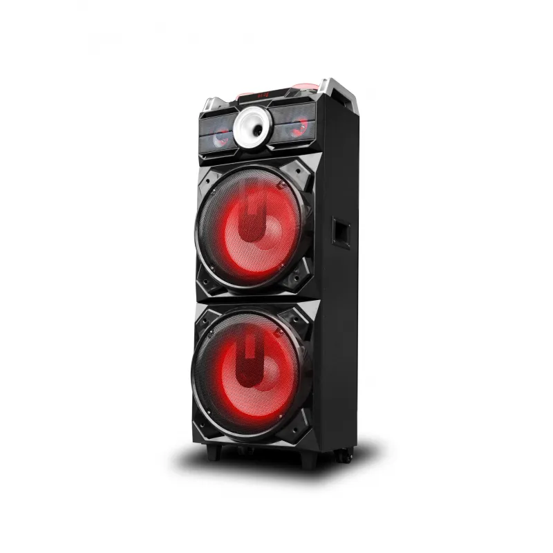 12''*2 Party portable bass dj subwoofer speaker