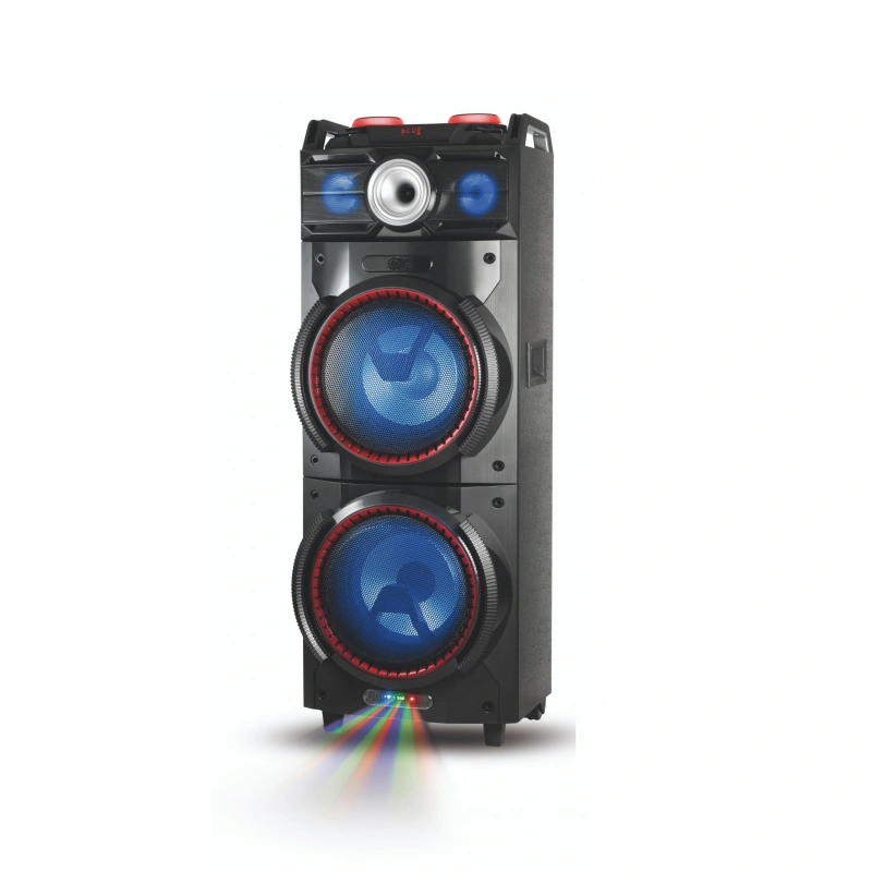 10''*2 karaoke portable party subwoofer speaker