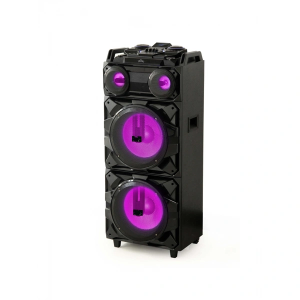 12''*2 big power party bt dj audio speaker