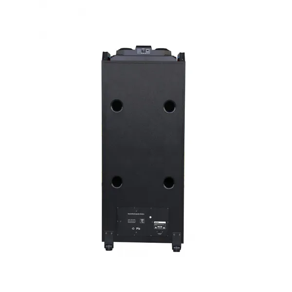 12''*2 big power party bt dj audio speaker