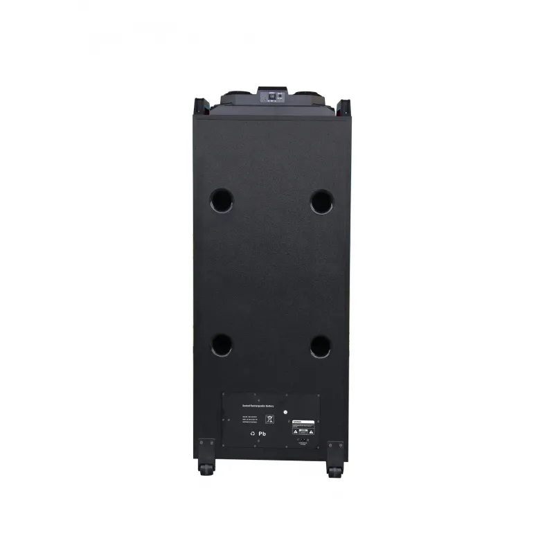 12''*2 big power party bt dj audio speaker