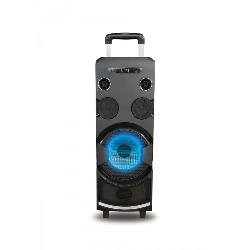 Trolley bt dj 10'' big power speaker