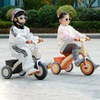 Push&Ride Tricycle for Kids 1-6 Years | Adjustable Parent Handle