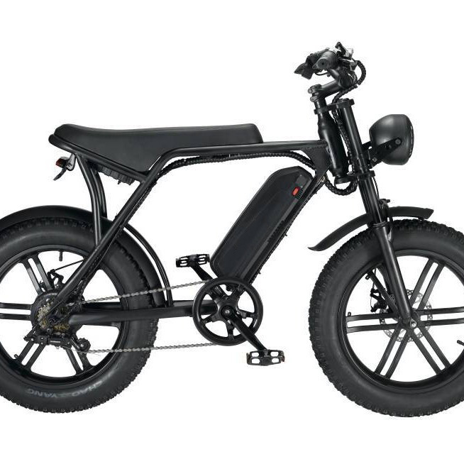 20 Inch Fat Tire Electric Bike - Off-Road All-Terrain Ebike