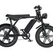 20 Inch Fat Tire Electric Bike - Off-Road All-Terrain Ebike