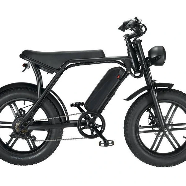 20 Inch Fat Tire Electric Bike - Off-Road All-Terrain Ebike