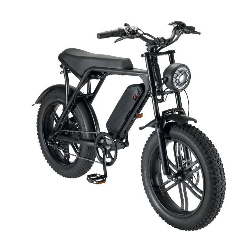 20 Inch Fat Tire Electric Bike - Off-Road All-Terrain Ebike