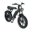 20 Inch Fat Tire Electric Bike - Off-Road All-Terrain Ebike