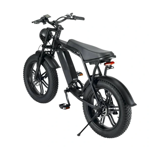 20 Inch Fat Tire Electric Bike - Off-Road All-Terrain Ebike