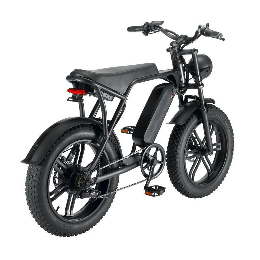 20 Inch Fat Tire Electric Bike - Off-Road All-Terrain Ebike