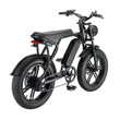20 Inch Fat Tire Electric Bike - Off-Road All-Terrain Ebike