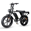 20 Inch Fat Tire Electric Bike - Off-Road All-Terrain Ebike