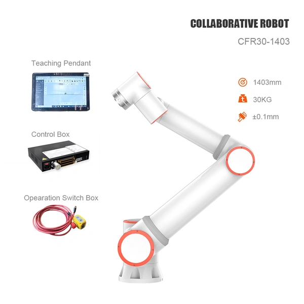 Palletizing Collaborative Robot 6-Axis Cobot 30kg Payload for Box Palletizing Material Handling CE