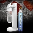 Food Grade   Eavinwhip™ 0.6L 425g Carbon Dioxide Gas Cylinder