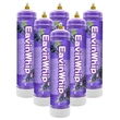 Highest Selling High Quality 640g Soda Grape Flavor Gas Cylinder 