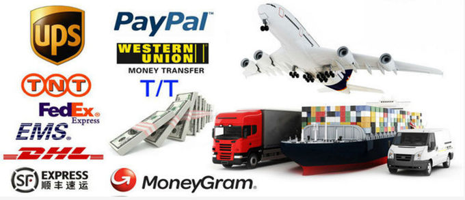 10 mm/12 mm outils de coupe en métal fraise en bout extra longue de commande numérique par ordinateur 4 cannelures avec le revêtement 2 d'AlTiN