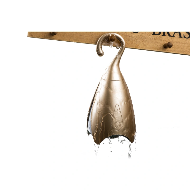 12V Automotive multi-function jump starter  with tire inflatable pump