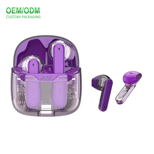 Bluetooth Eerphone Clear Case Private Mold