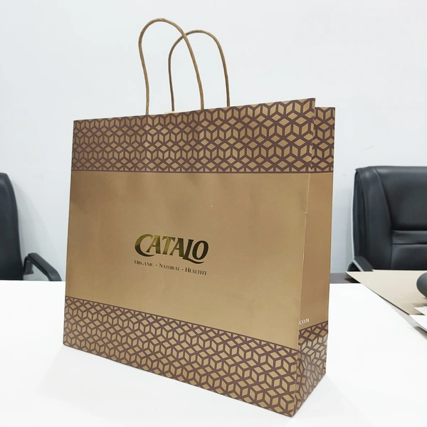 personnaliser le sac à main en papier de protection de l'environnement pour les produits de santé