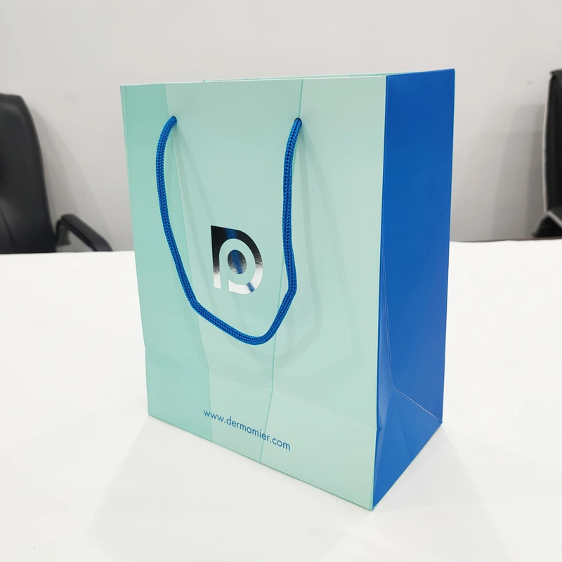 personalizar el bolso de papel de protección del medio ambiente para la empresa