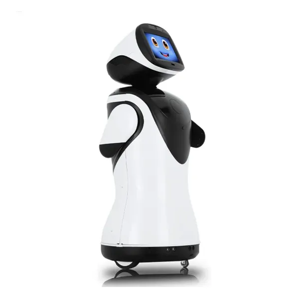 Business Intelligent Interaction Welcome Transformer Robot Face Recognition Chat Reception Dancing Robot for Commercial Use