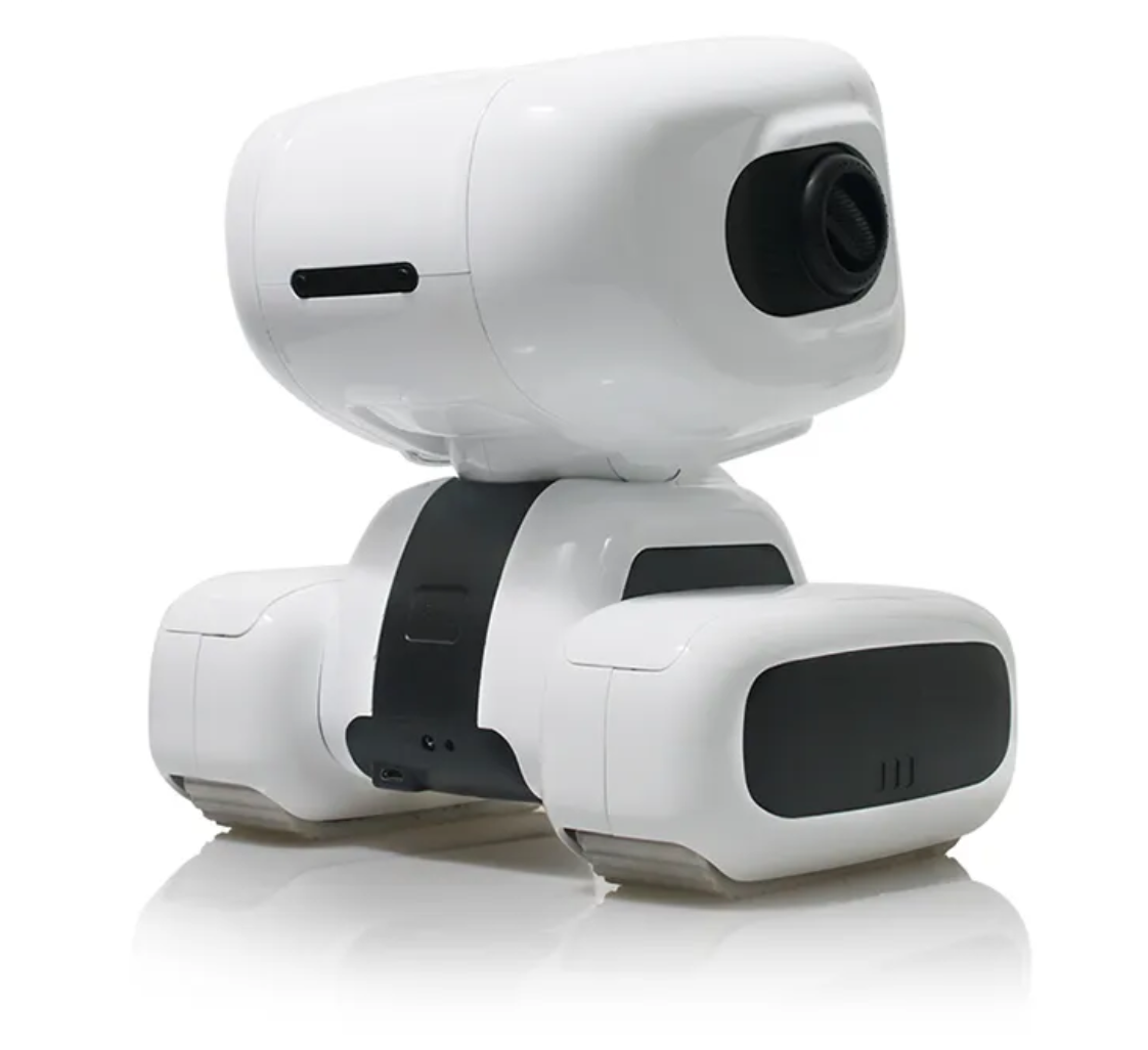 Intelligent Electronic Roboter Emo Pet Robot Smart Remote Control Toy for Kids Plastic Model Electric Feature