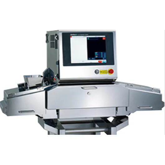 Inspection of bulk foods with X-ray B4010