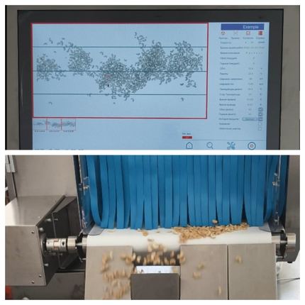 Inspection of bulk foods with X-ray B4010