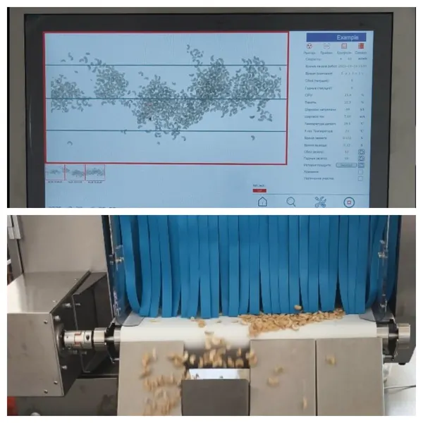 Inspection of bulk foods with X-ray
