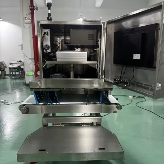 Large products and cartons X-ray inspection C7040