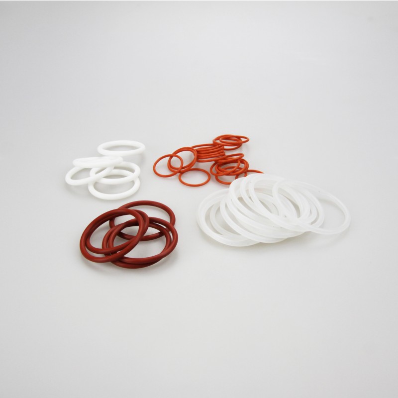 What kind of import seal is PTFE seal?