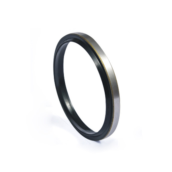Glace ring sealing principle