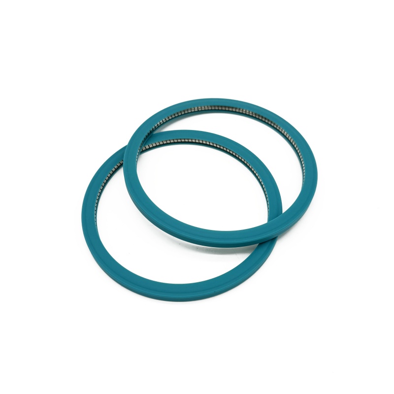 Sealing principle, design, verification and failure of sealing ring