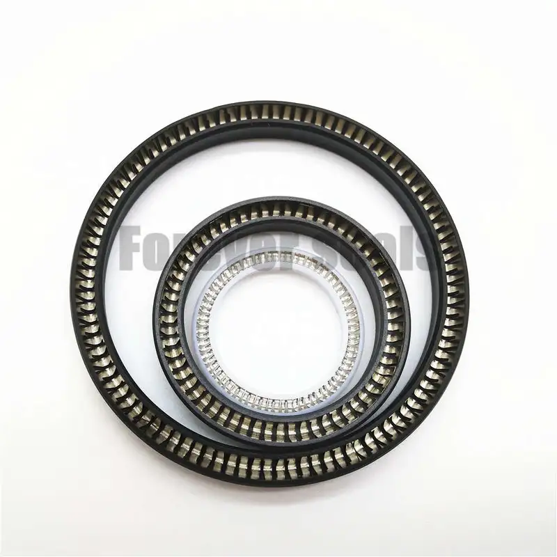 sello energizado por resorte - sellos para siempre 