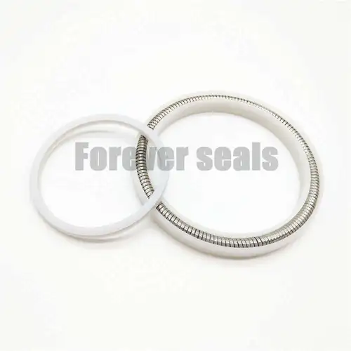 Variseal - Forever Seals