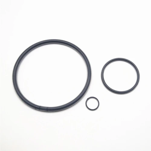 FEP/PFA Encapsulated FKM/VITON O-Ring - Forever Seals