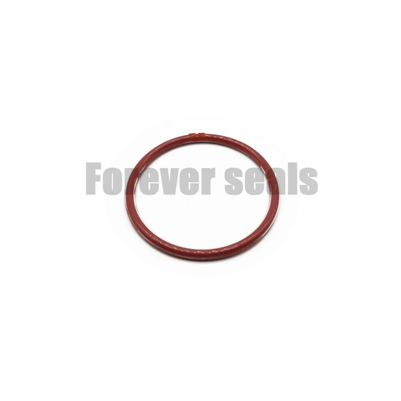 FEP/PFA encapsulated Silicone O-Ring - Forever Seals