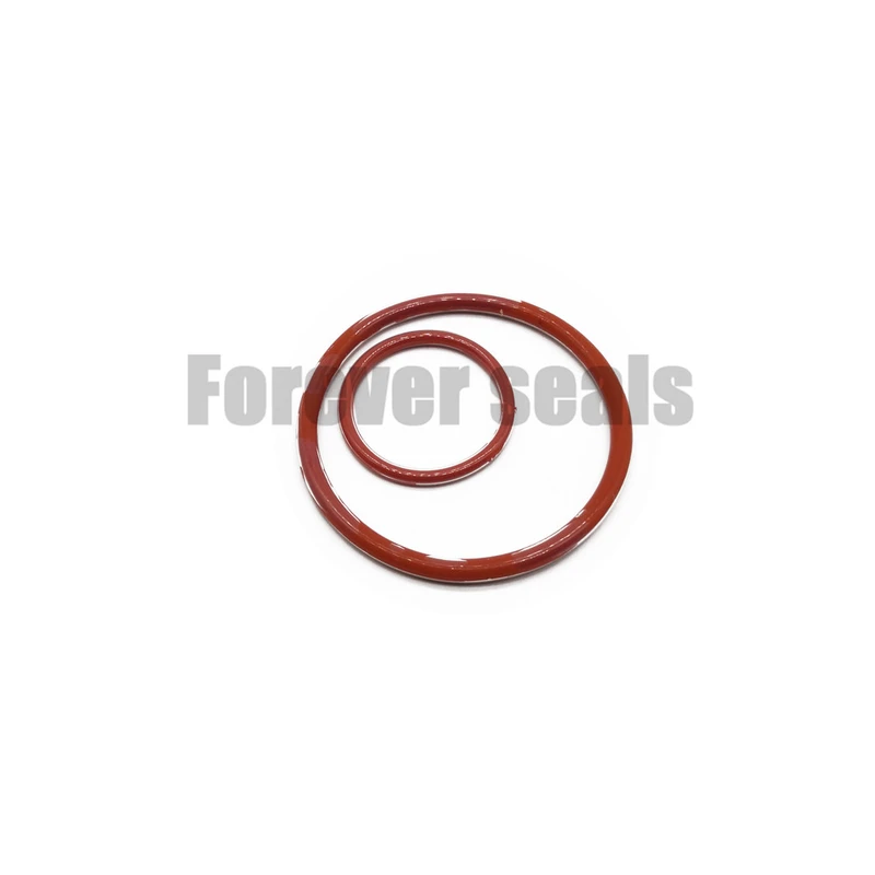 FEP/PFA encapsulated Silicone O-Ring - Forever Seals