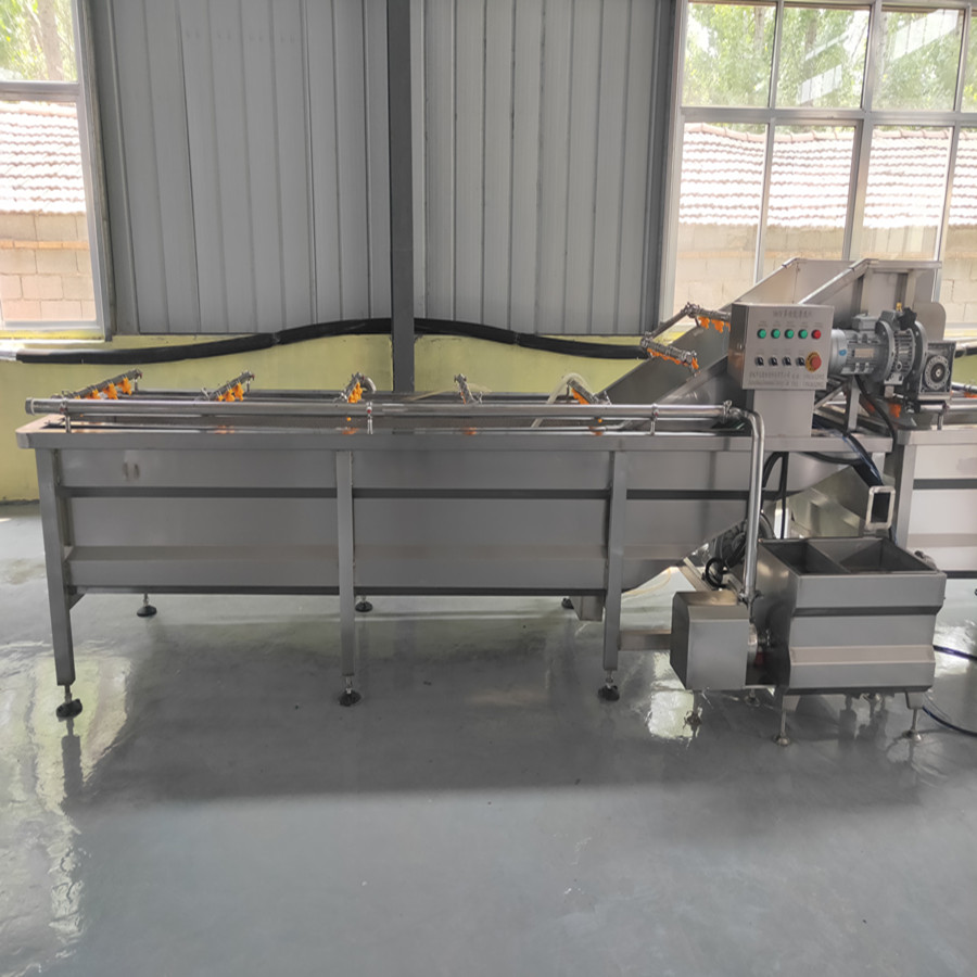 2020 -2t/h dattes nettoyage laveuse et trieuse  