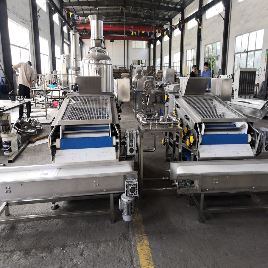 Ligne de production de jus de pomme 2019 bulgarie 1 t / h