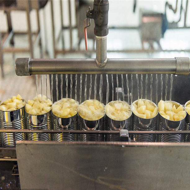Línea de producción de piña enlatada en almíbar de Indonesia 2016