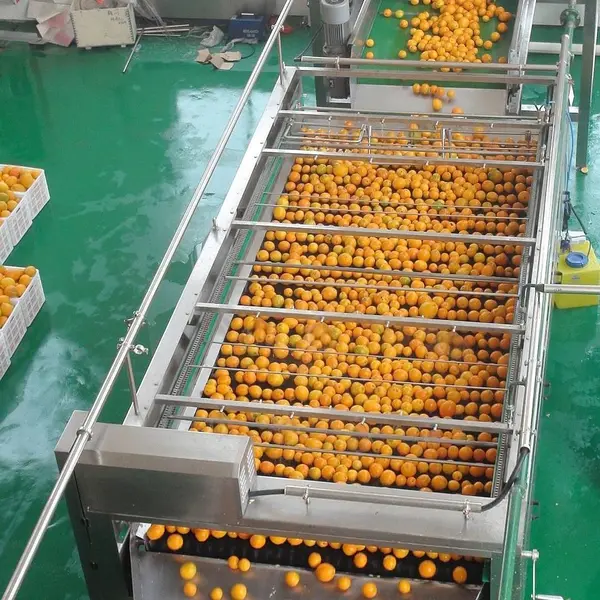 ligne de traitement de jus d'orange, machine de traitement de jus de citron