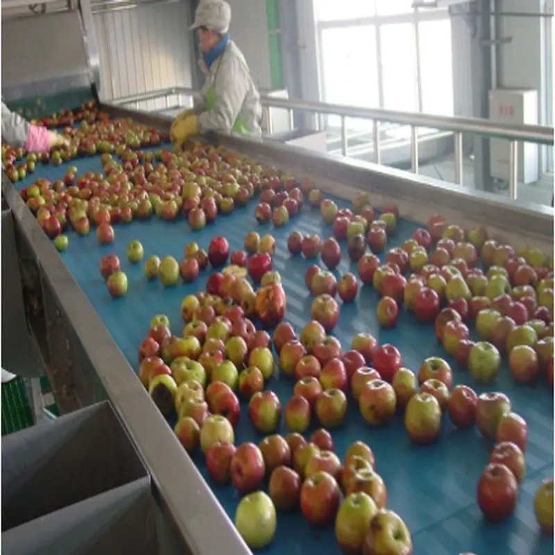 pear juice processing machine,apple juice processing plant