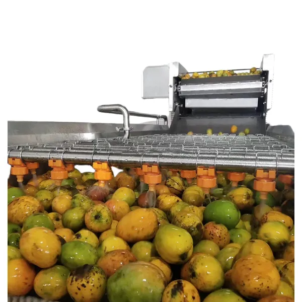 linha de processamento de purê de manga, máquina de fazer suco de manga