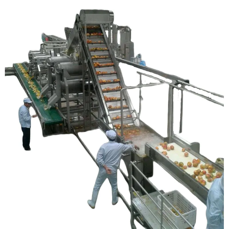 máquina de processamento de frutas silvestres