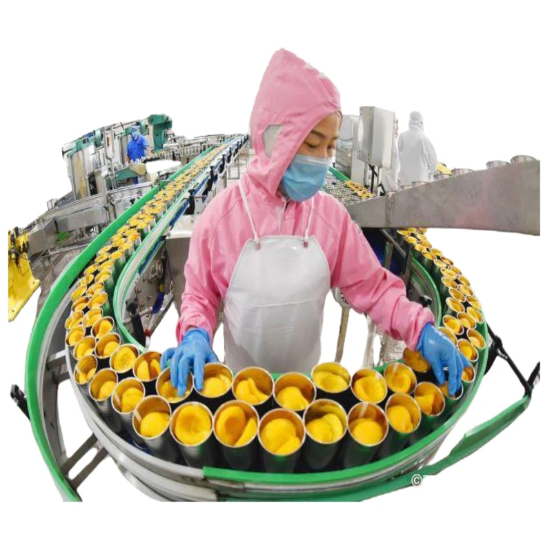 máquina de processamento de pêssego enlatado, linha de conservas de frutas